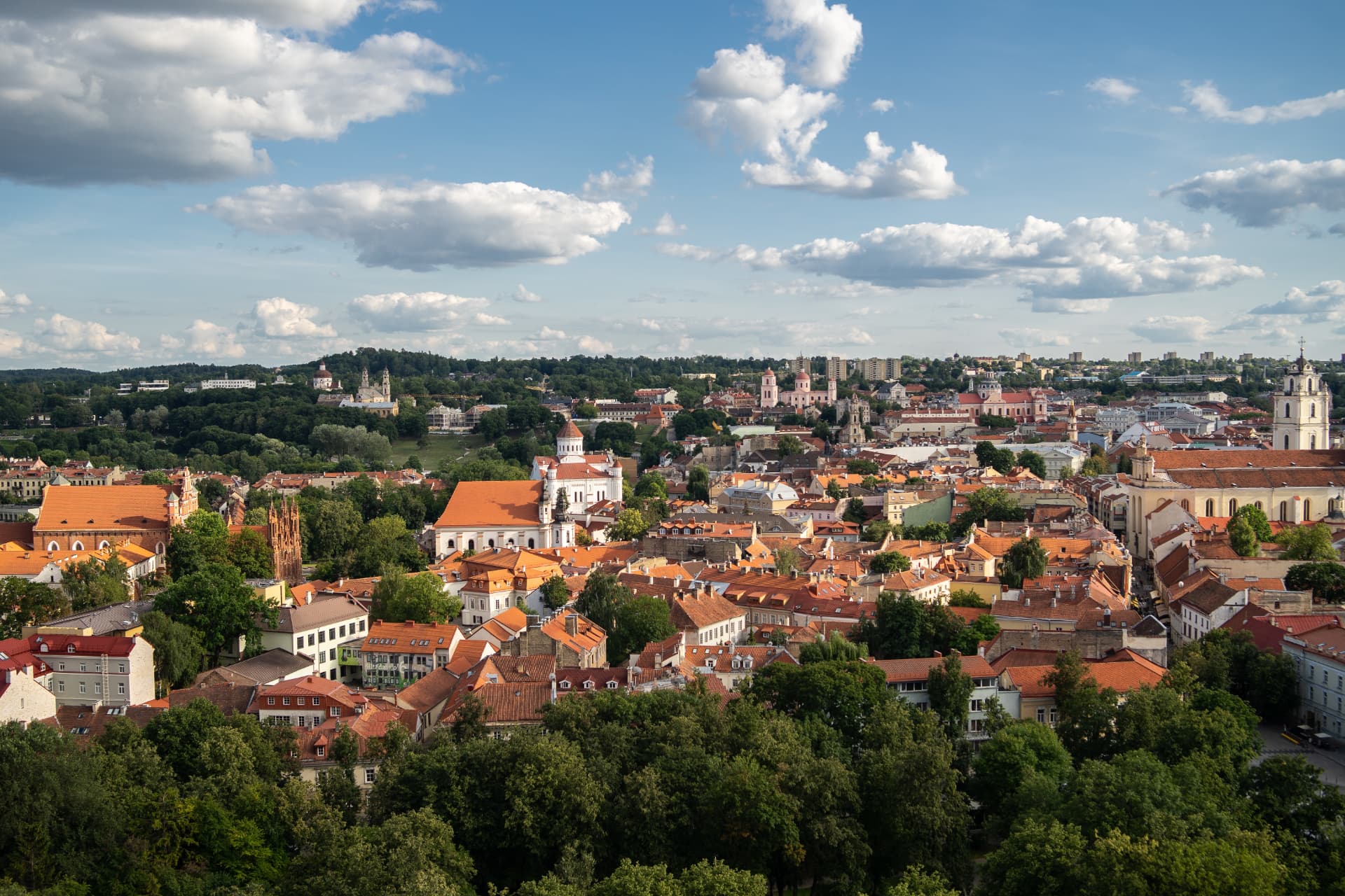 Panoramablick über eine historische Altstadt mit roten Dächern, Türmen und viel Grün